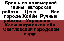 Брошь из полимерной глины, авторская работа. › Цена ­ 900 - Все города Хобби. Ручные работы » Украшения   . Калининградская обл.,Светловский городской округ 